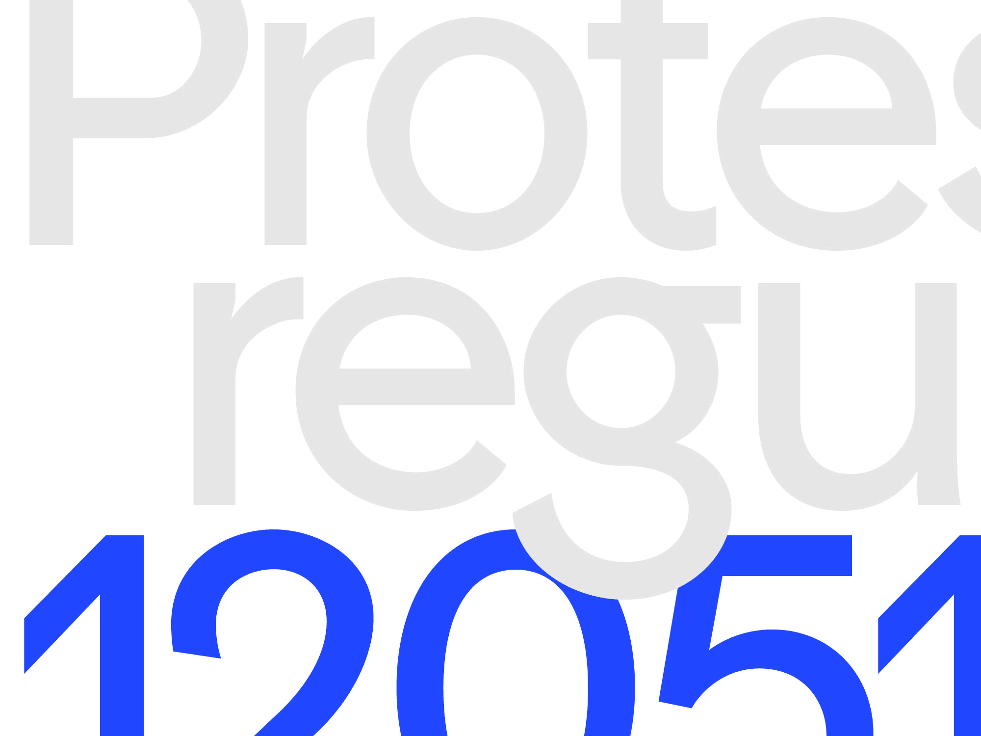 Visualization of the Typeface Protest Grotesk